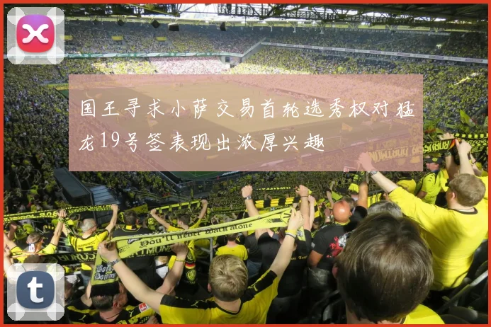 国王寻求小萨交易首轮选秀权对猛龙19号签表现出浓厚兴趣