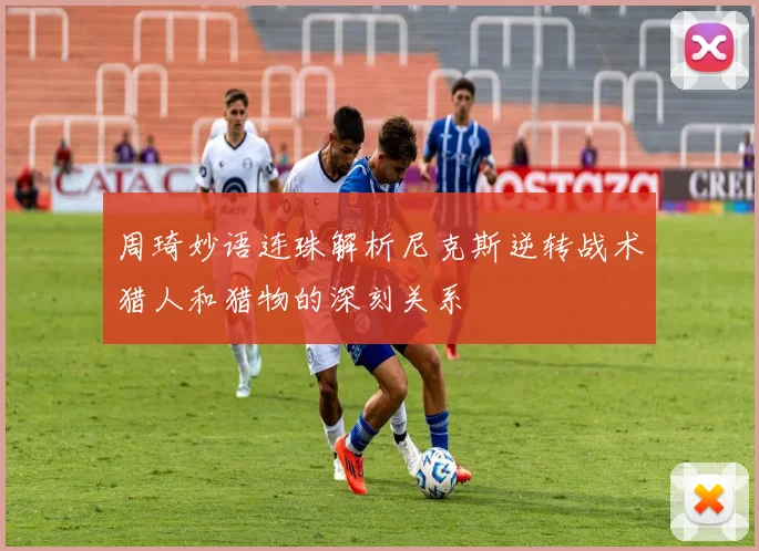 周琦妙语连珠解析尼克斯逆转战术猎人和猎物的深刻关系